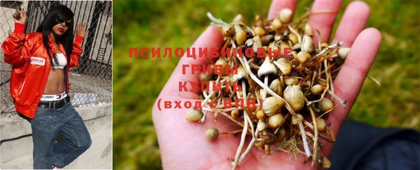 молекула духа Нефтекумск