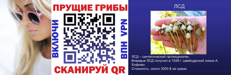 Галлюциногенные грибы GOLDEN TEACHER  закладки  Сосногорск 